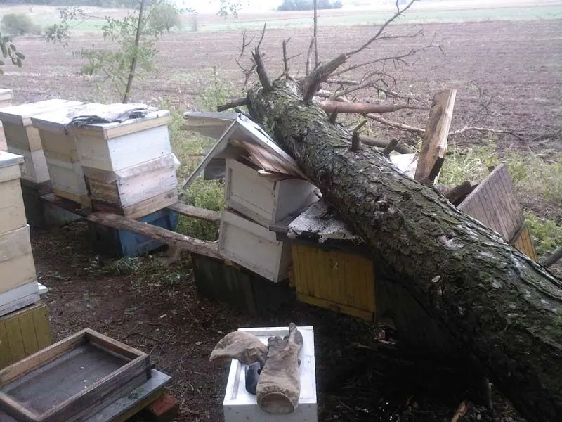 Zničené úle po búrke - 1