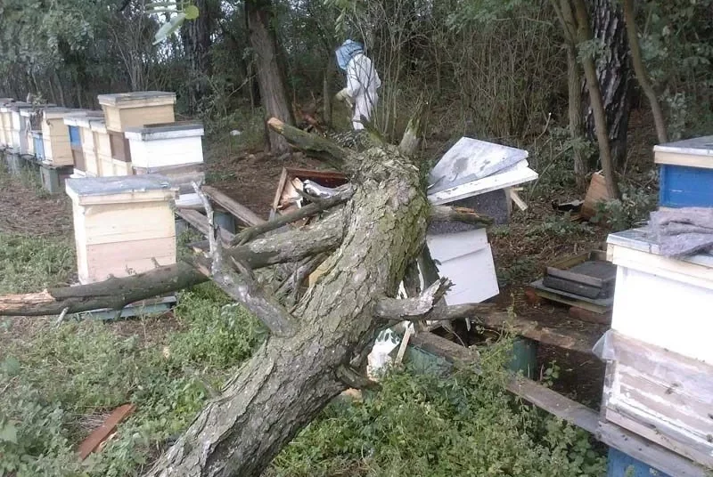 Zničené úle po búrke